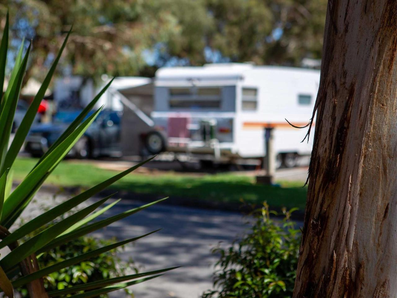 Echo Holiday Parks - Windsor Gardens Adelaide Exterior photo